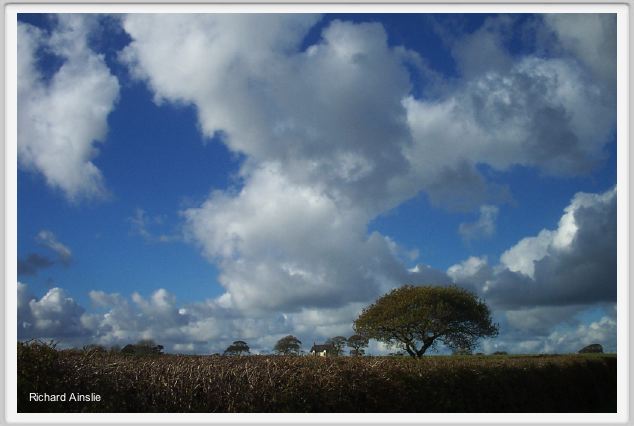  the sky above us.jpg