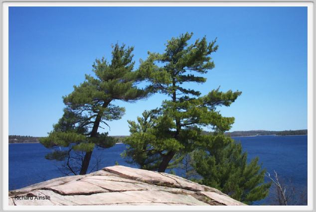 Georgian Bay.jpg