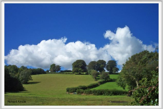 moor field.jpg