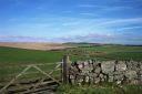 Dartmoor gate.jpg
