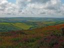 Exmoor summer.jpg
