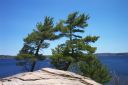 Georgian Bay.jpg