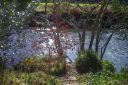 river Teign.jpg