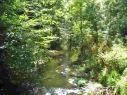 sunny brook.jpg