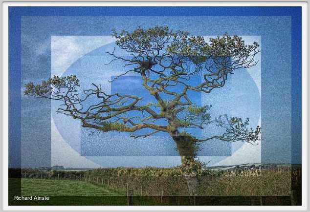 tree composite 2.jpg