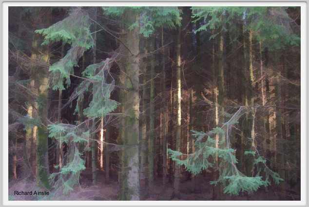 winterlight.jpg
